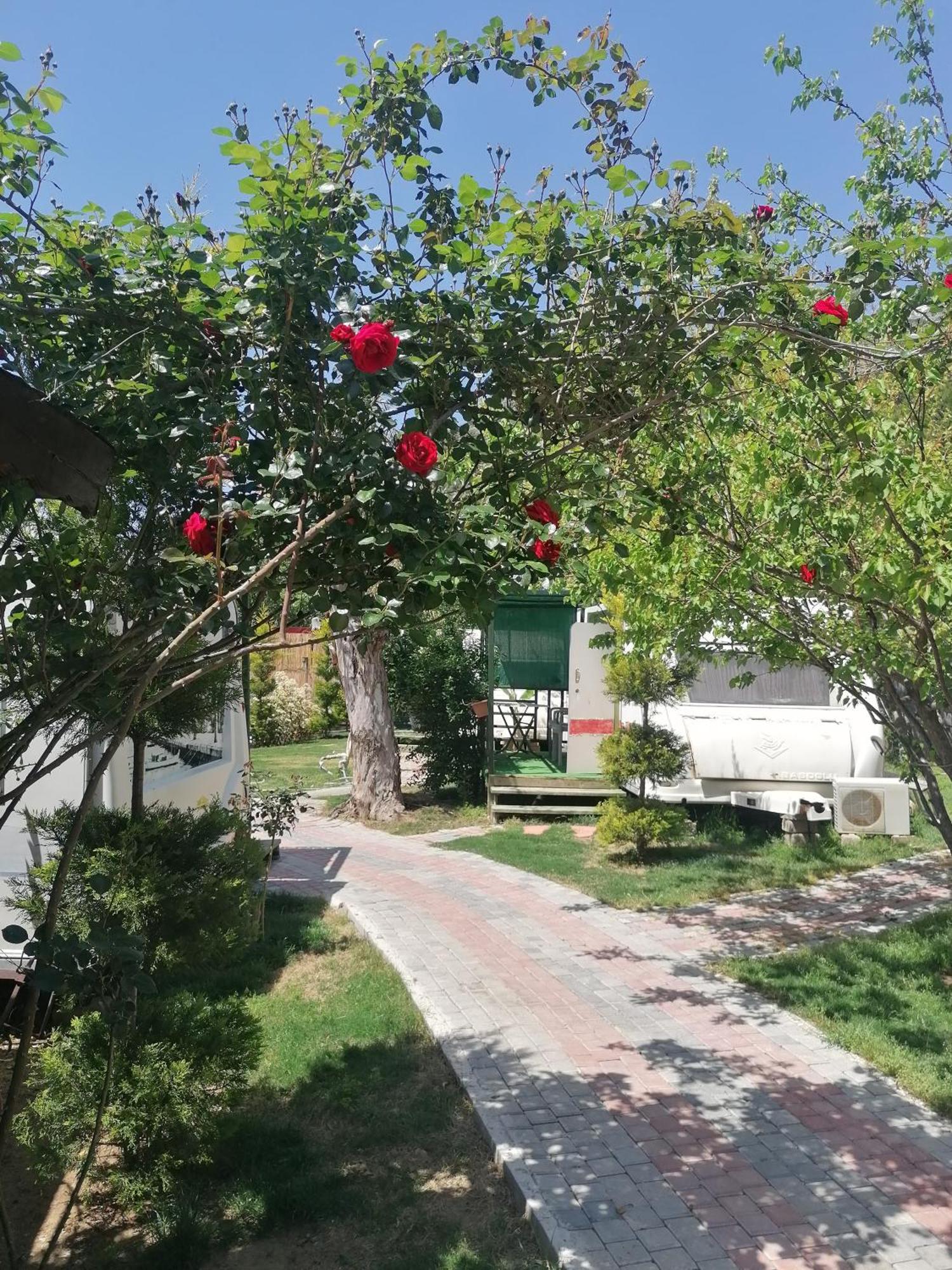 Oba Beach Hotel Oludeniz Ngoại thất bức ảnh