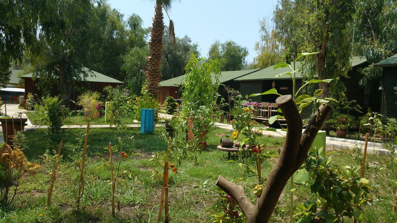 Oba Beach Hotel Oludeniz Ngoại thất bức ảnh