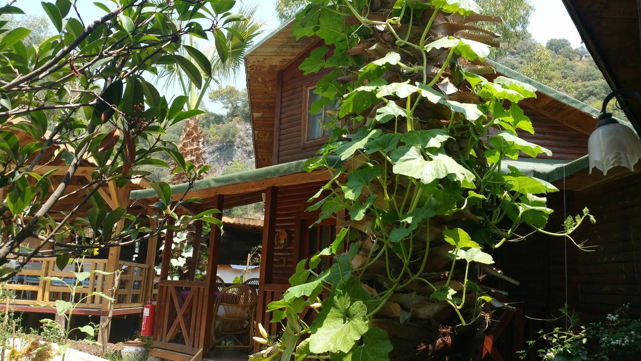 Oba Beach Hotel Oludeniz Ngoại thất bức ảnh