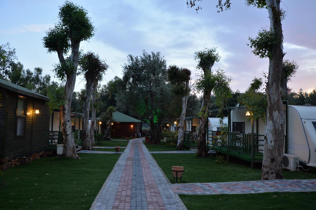 Oba Beach Hotel Oludeniz Ngoại thất bức ảnh